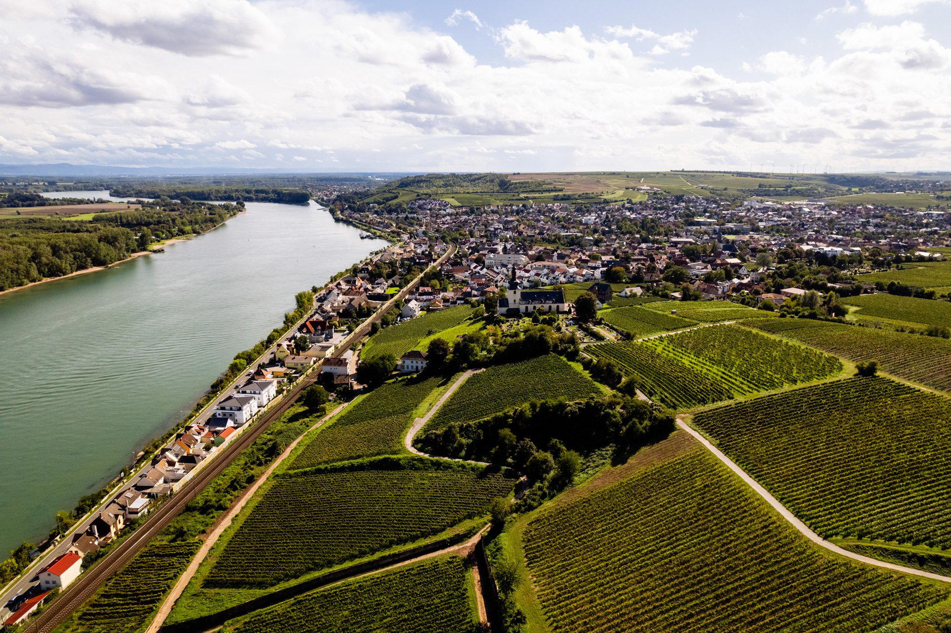 Wein- und Sektkellerei Jakob Gerhardt winery in Nierstein