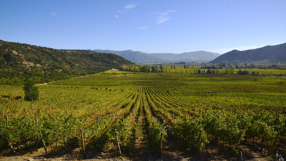 Viña Valdivieso winery in Lontué, Chile