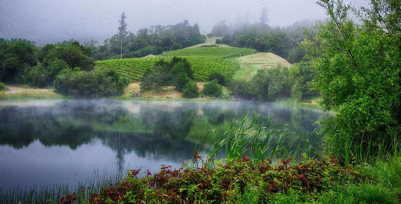 Lost In The Cellar winery in Ukiah, United States