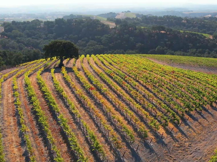Midnight Cellars, Paso Robles, United States
