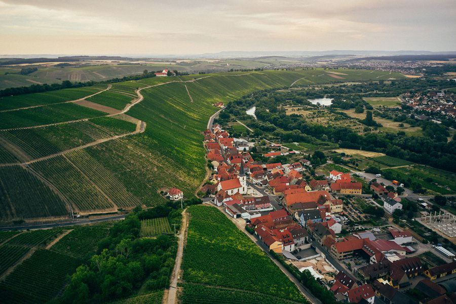 Weingut Rainer Sauer, Winery in Escherndorf
