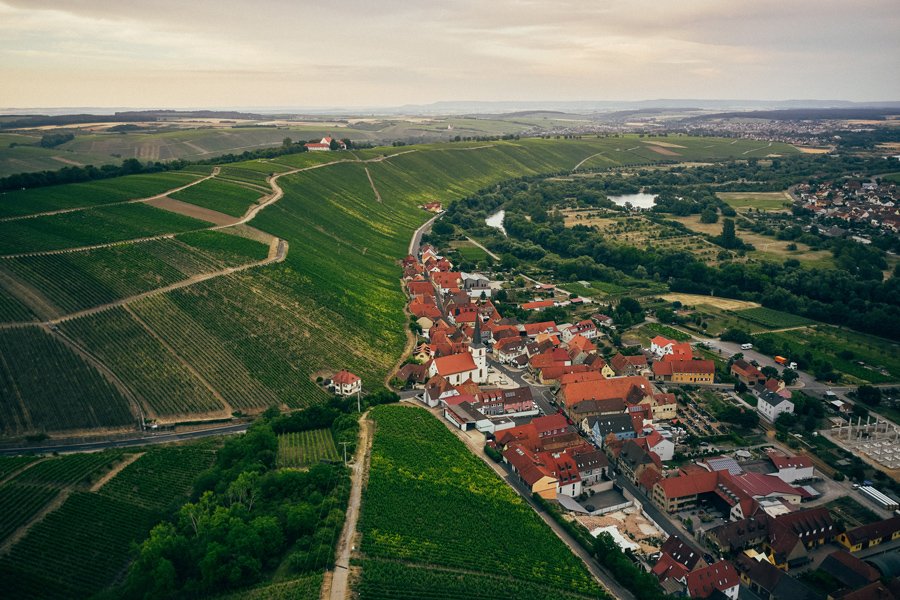 Weingut Rainer Sauer winery in Escherndorf, Germany