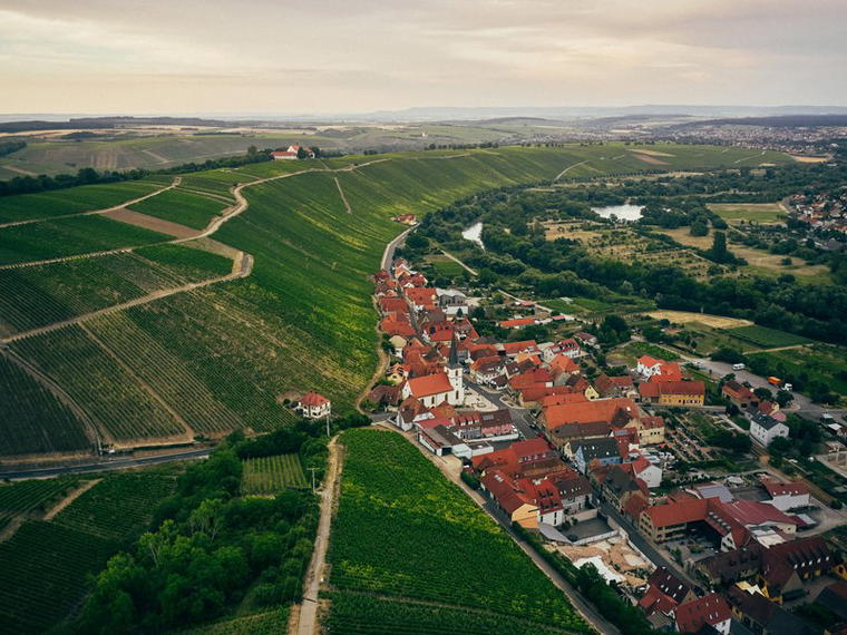 Weingut Rainer Sauer, Escherndorf, Germany