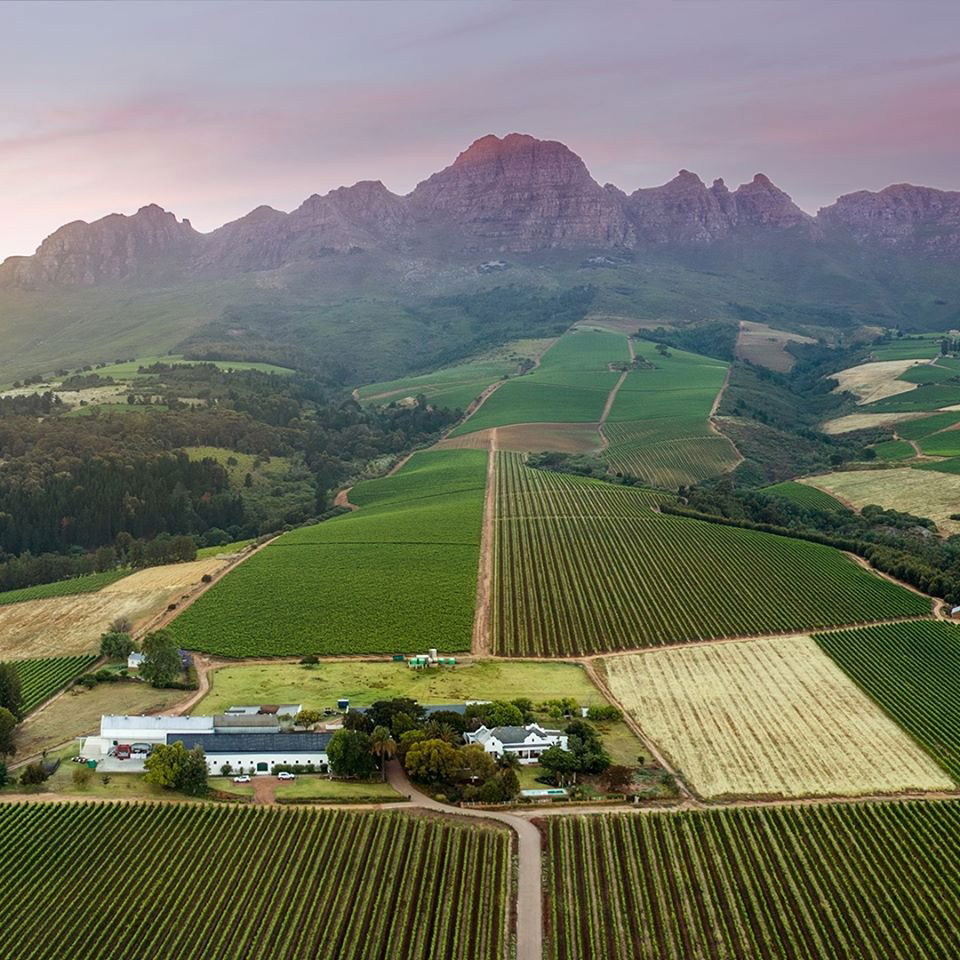 Alto Wine Estate winery in Stellenbosch, South Africa
