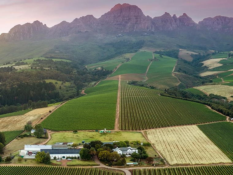 Alto Wine Estate, Stellenbosch, South Africa