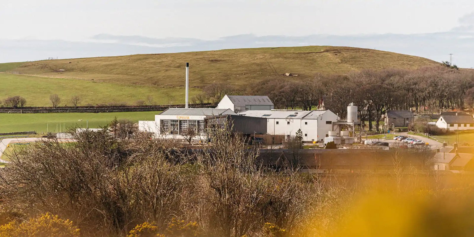 Condelli Distillery
