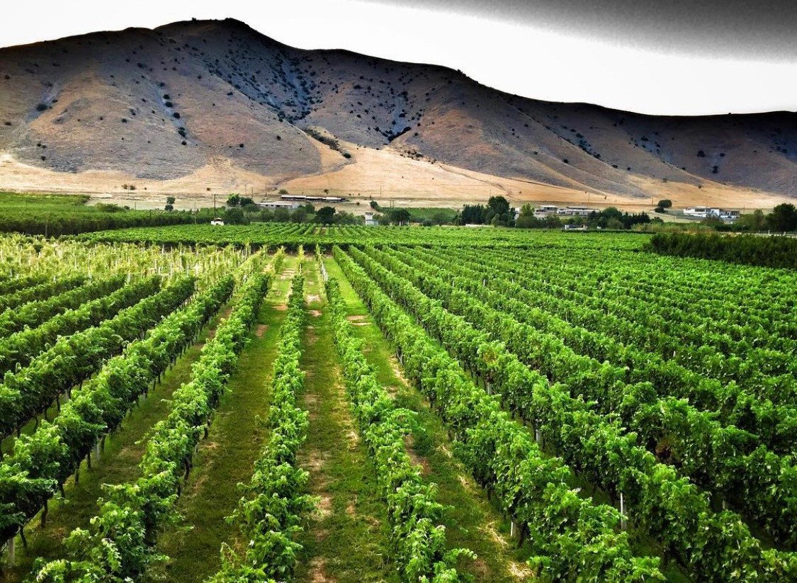Zafeirakis Winery, Tirnavos, Greece