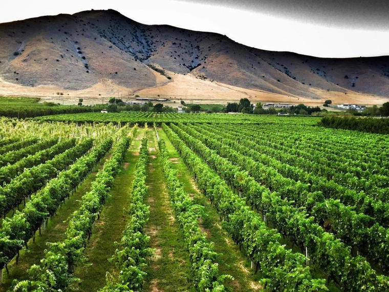 Zafeirakis Winery, Tirnavos, Greece
