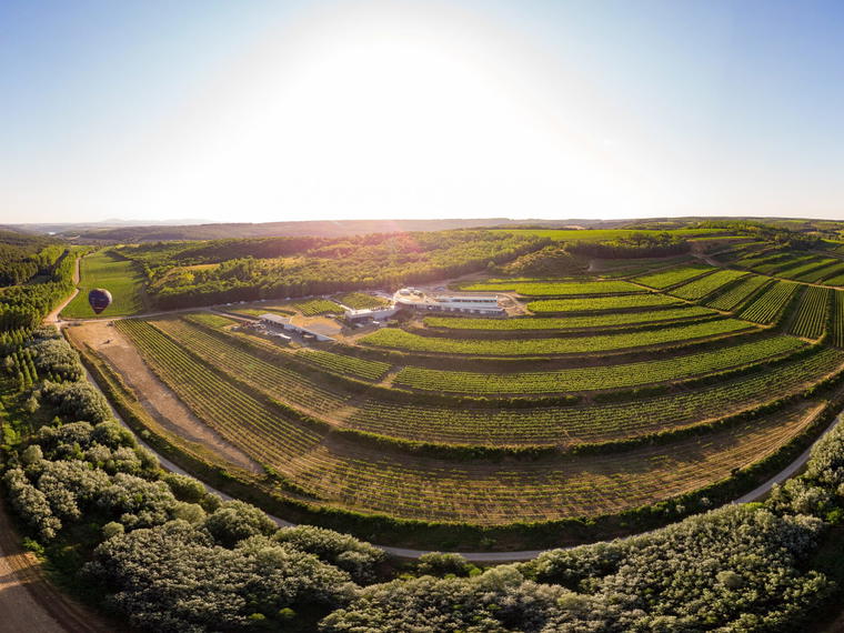 Lajver Winery, Szekszárd, Hungary
