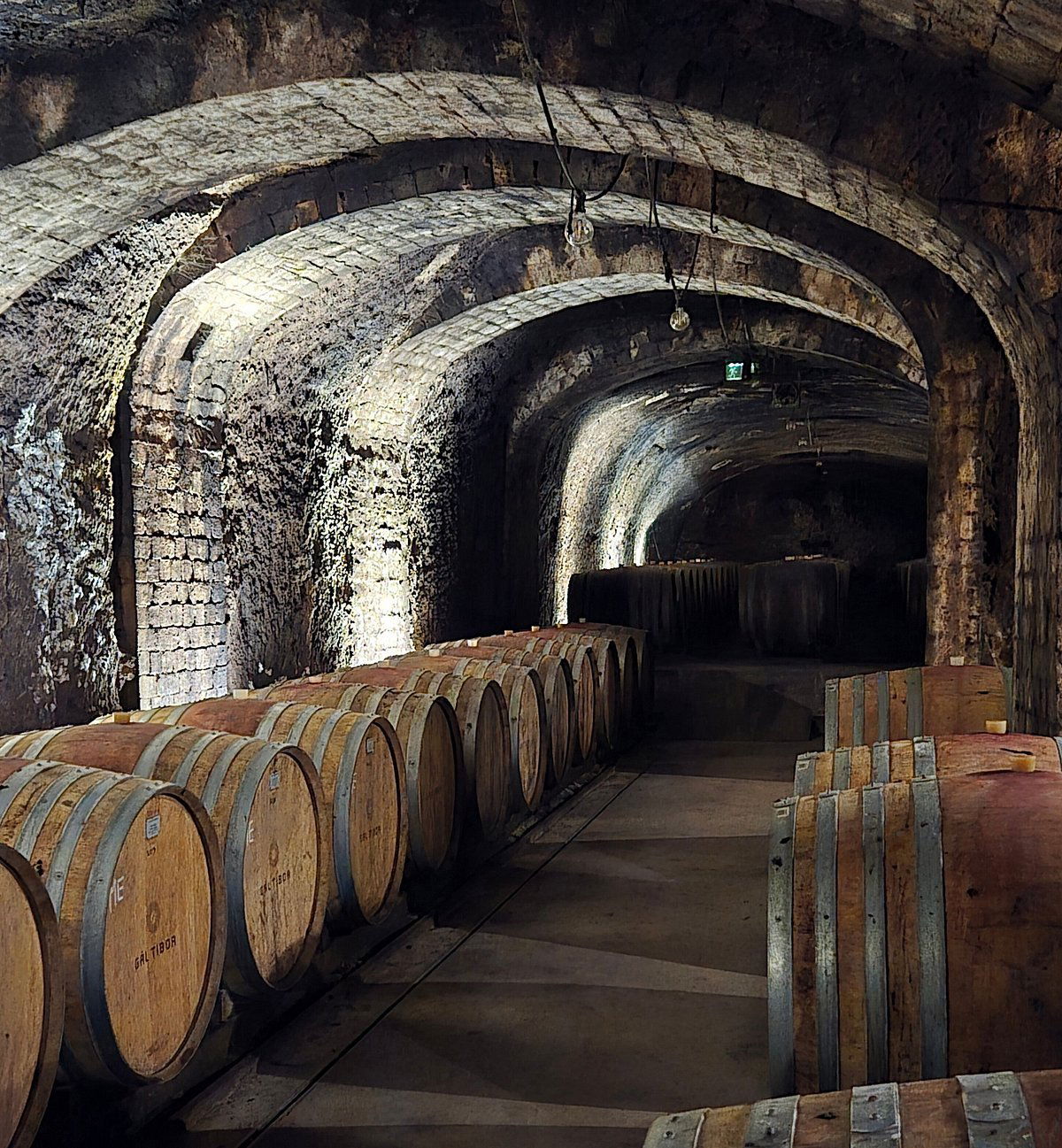 Gál Tibor Winery, Winery in Eger