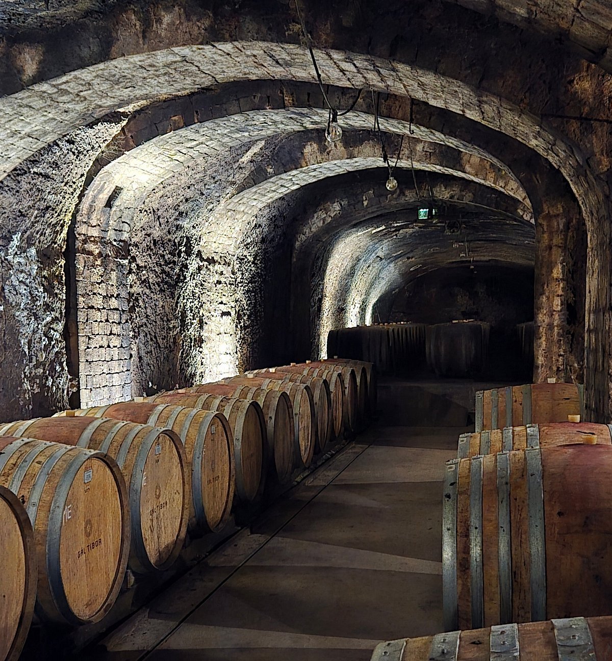 Gál Tibor Winery winery in Eger, Hungary