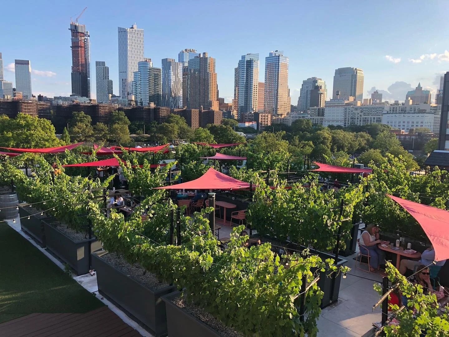 Brooklyn Winery