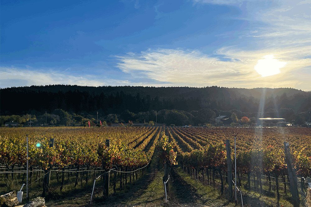 Claudia Springs Winery, Winery in Philo