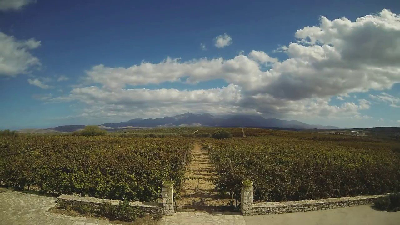 Lyrarakis Winery, Alagni, Greece