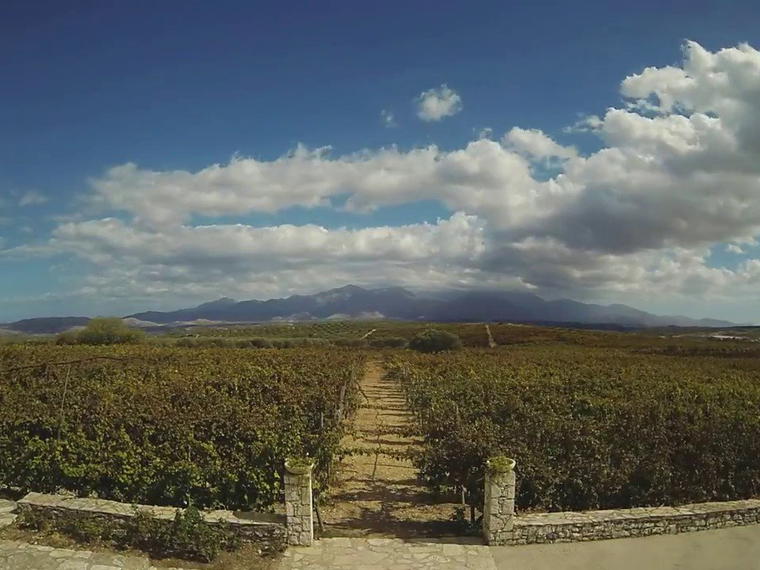 Lyrarakis Winery, Alagni, Greece