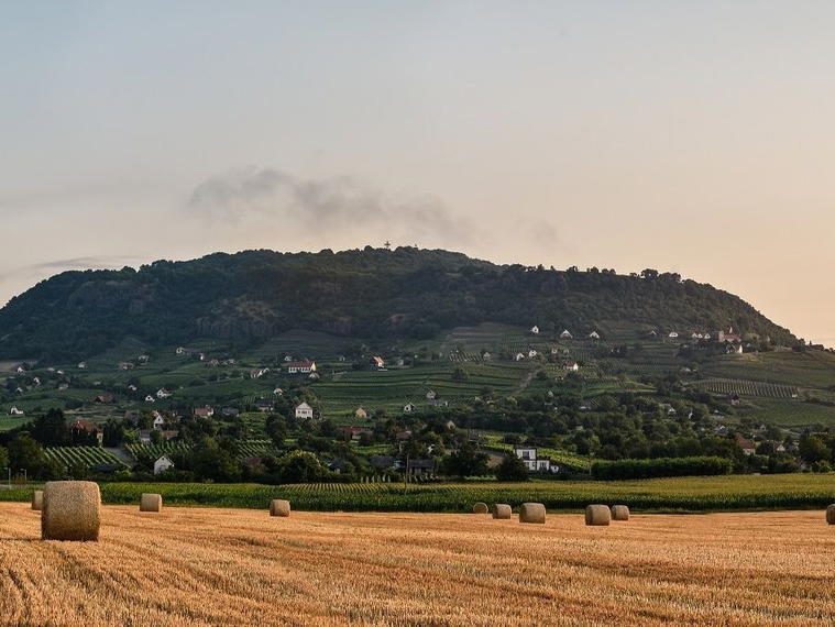 Somlói Apátsági Pince, Somlójenő, Hungary