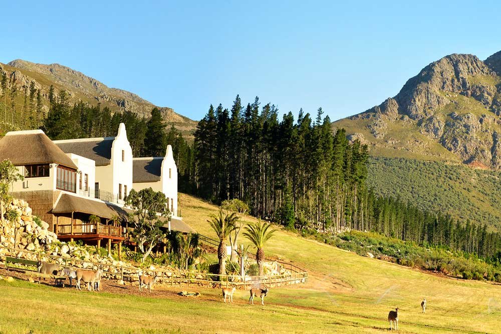 Chamonix Wine Farm winery in Franschhoek, South Africa