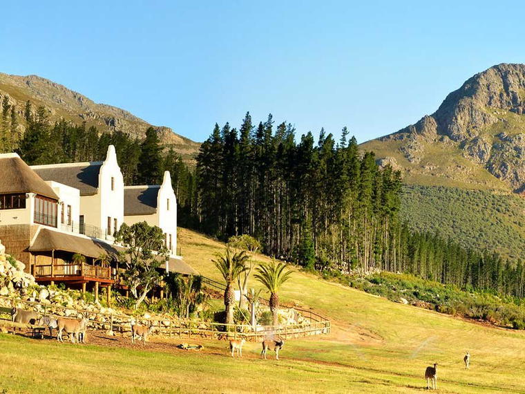 Chamonix Wine Farm, Franschhoek, South Africa
