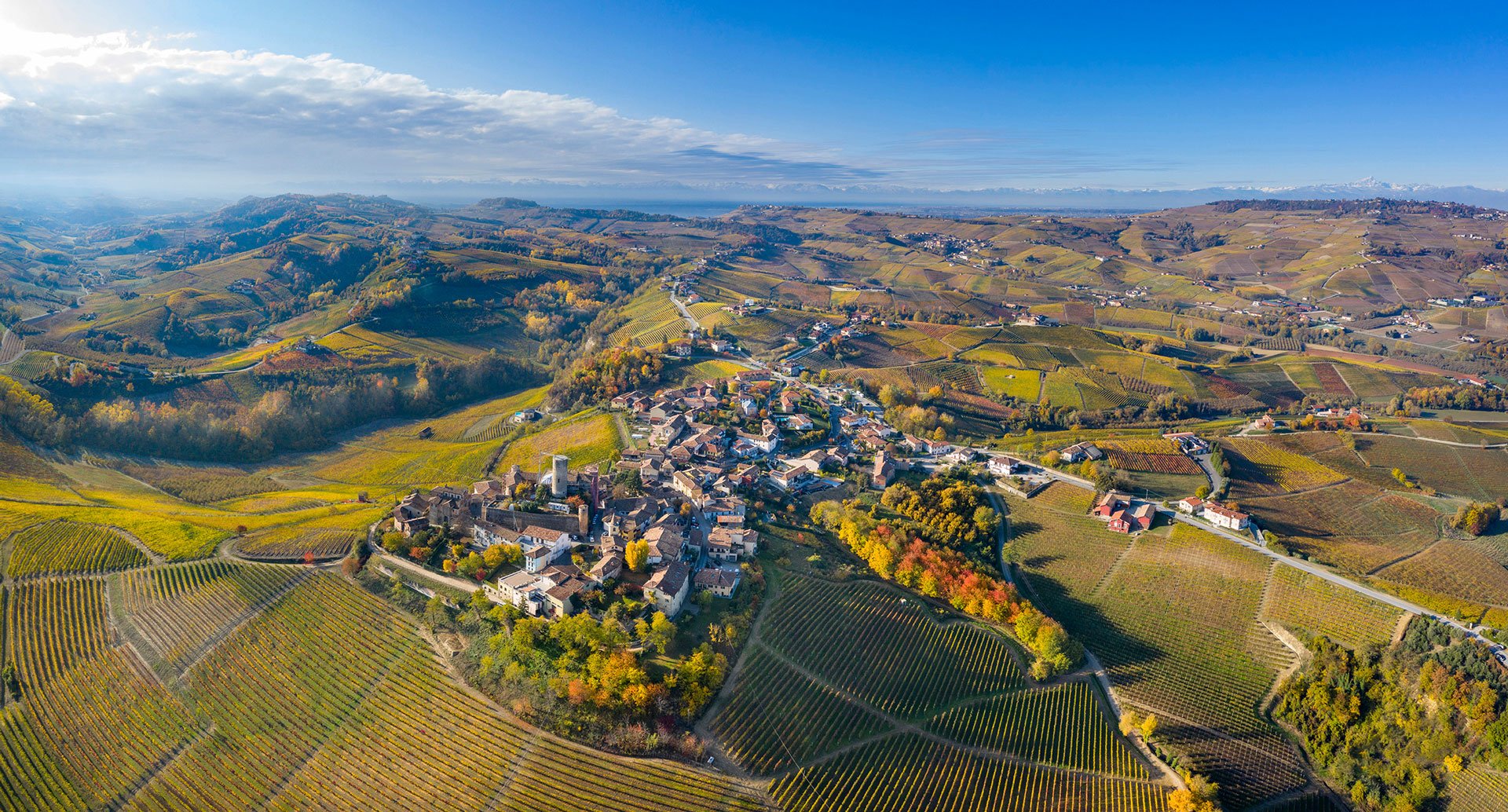 Vietti, Winery in Castiglione Falletto