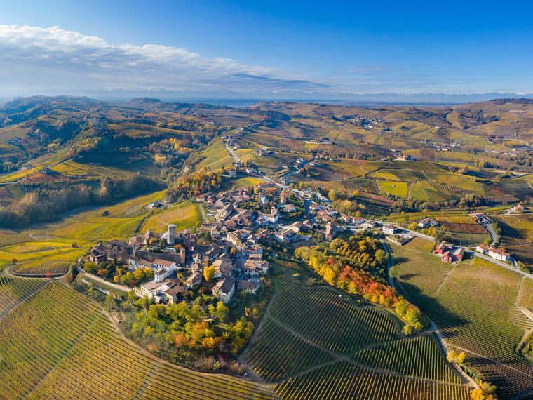 Vietti, Castiglione Falletto, Italy