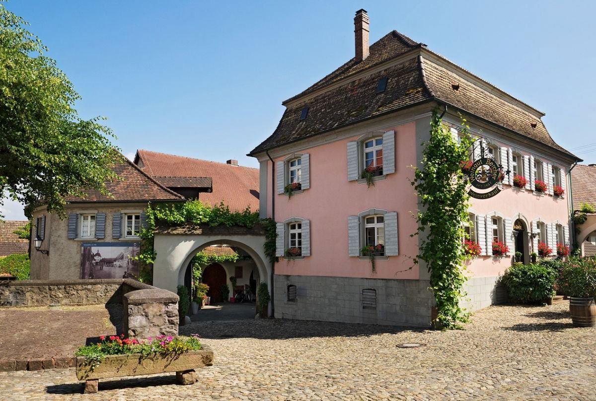 Weingut Bercher, Winery in Vogtsburg