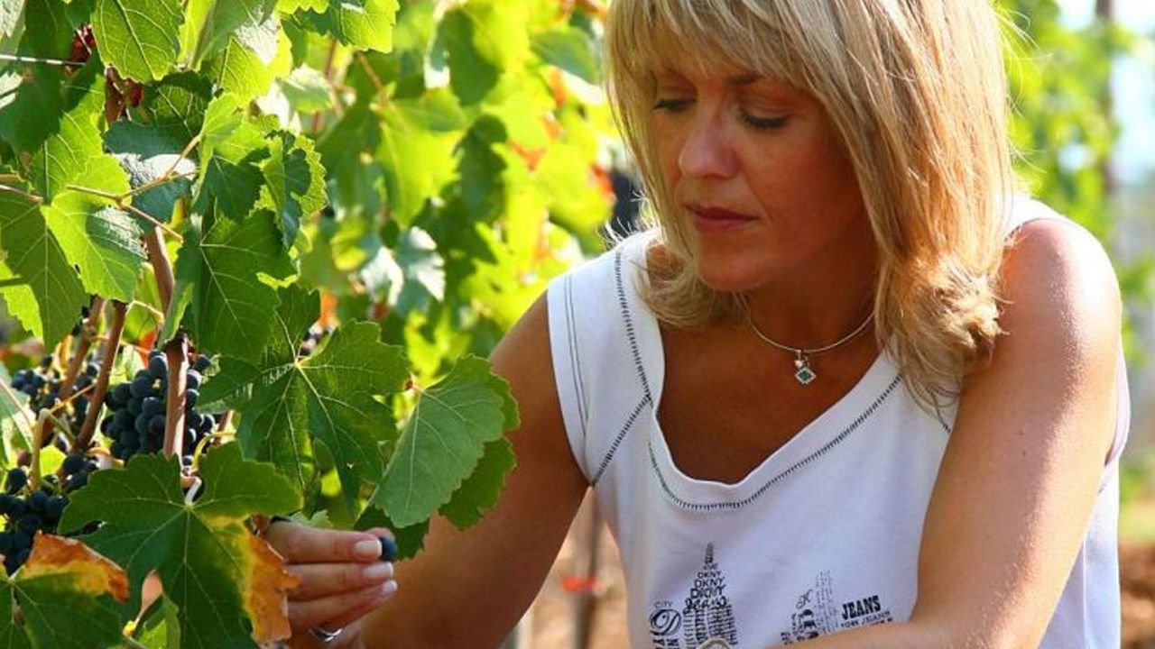 Claudia Papayianni Winery, Winery in Arnea