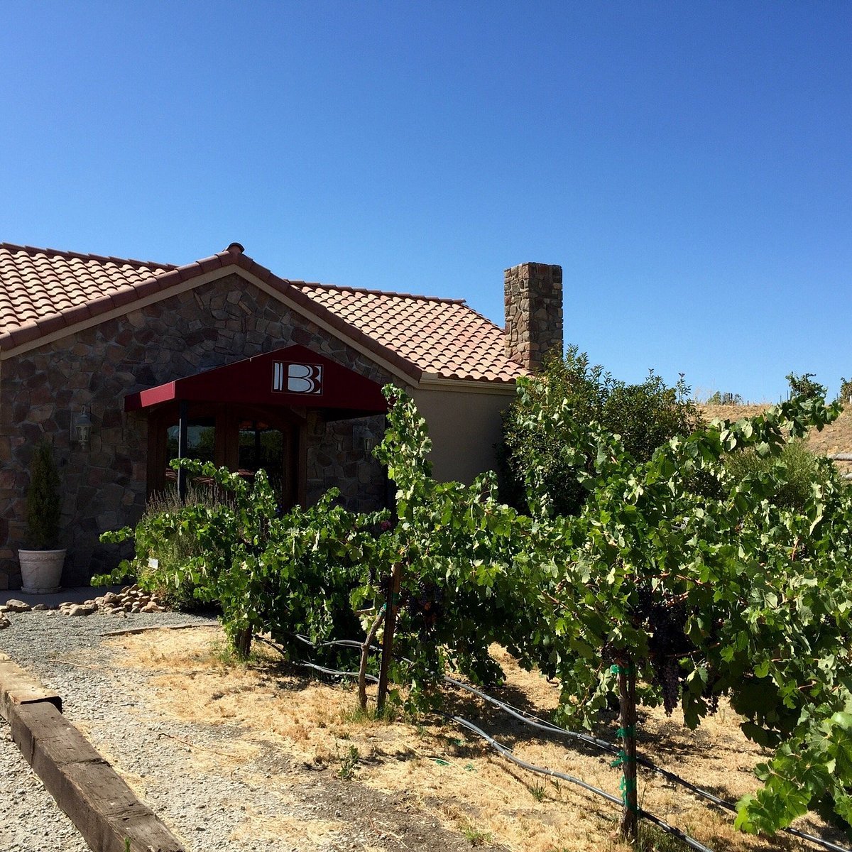 Barr Estate Winery