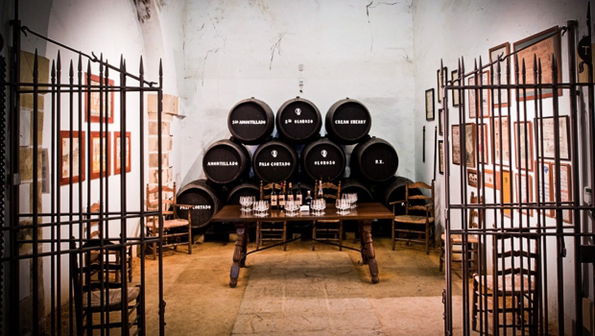 Bodegas Tradición