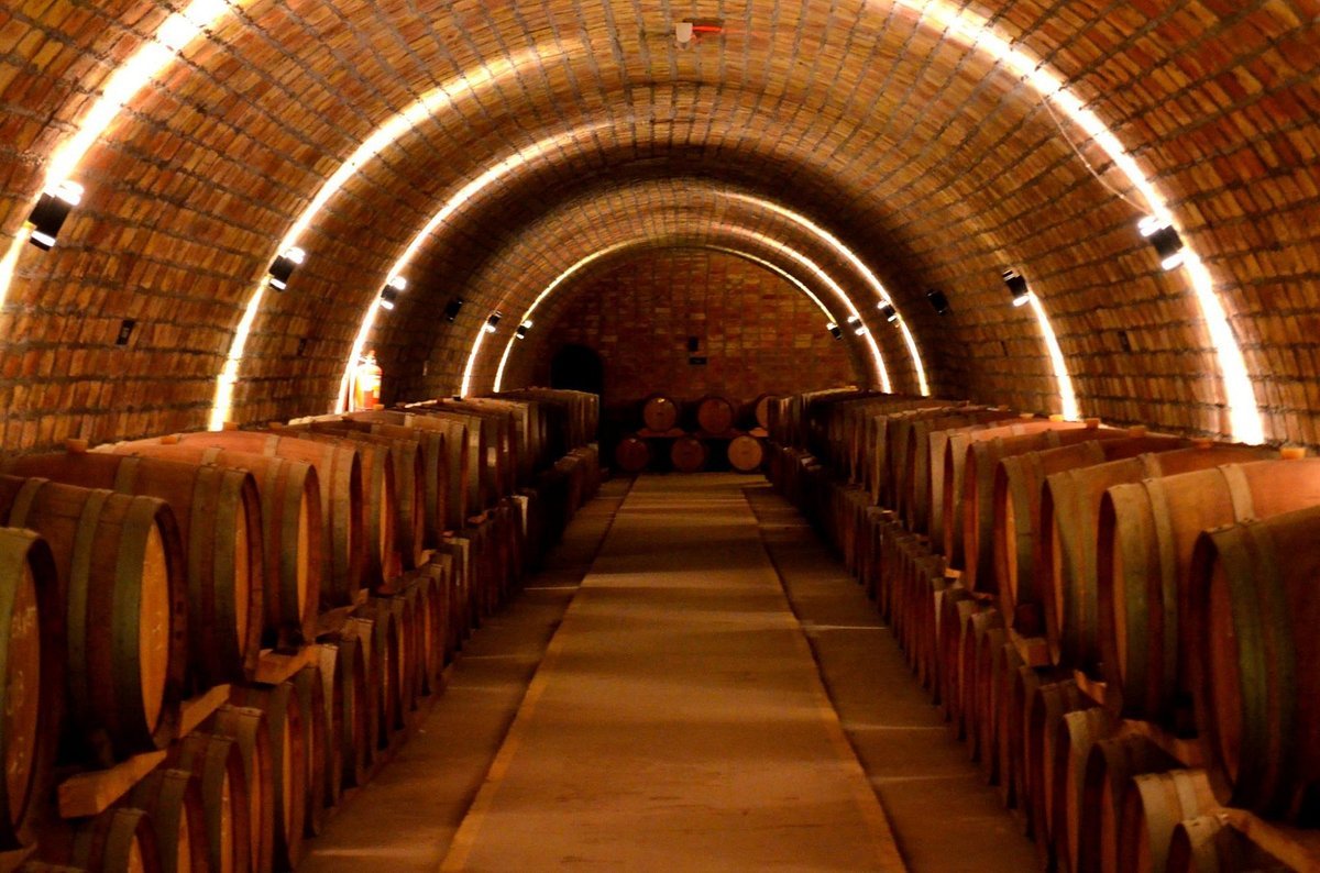 Bodega Suter, Winery in San Rafael