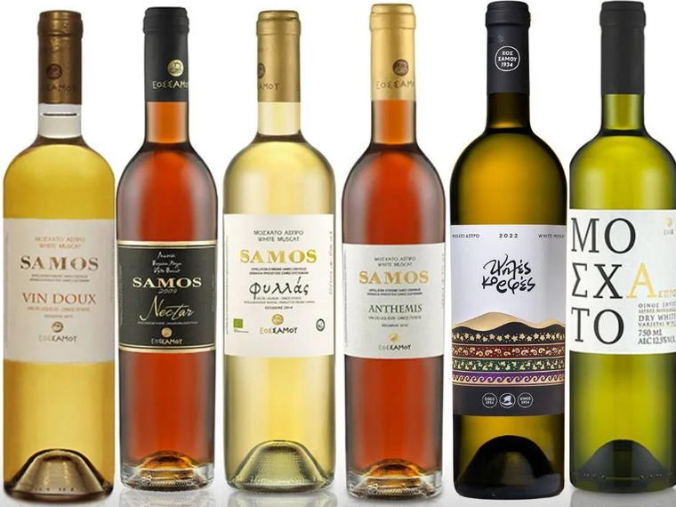 Samos Wine Cooperative, Samos, Greece