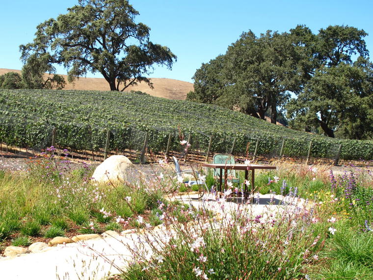 Refugio Ranch Vineyards, Santa Ynez, United States