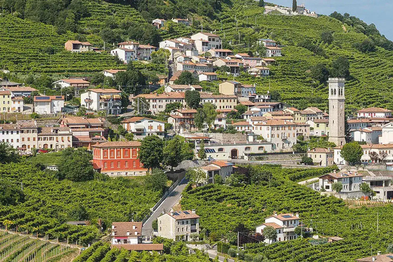 Distilleria Castagner winery in Vazzola