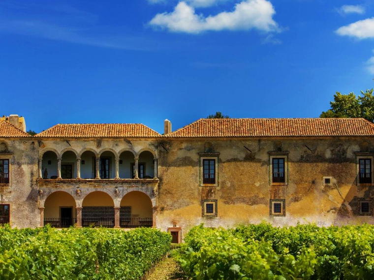 Bacalhôa Vinhos, Azeitão, Portugal