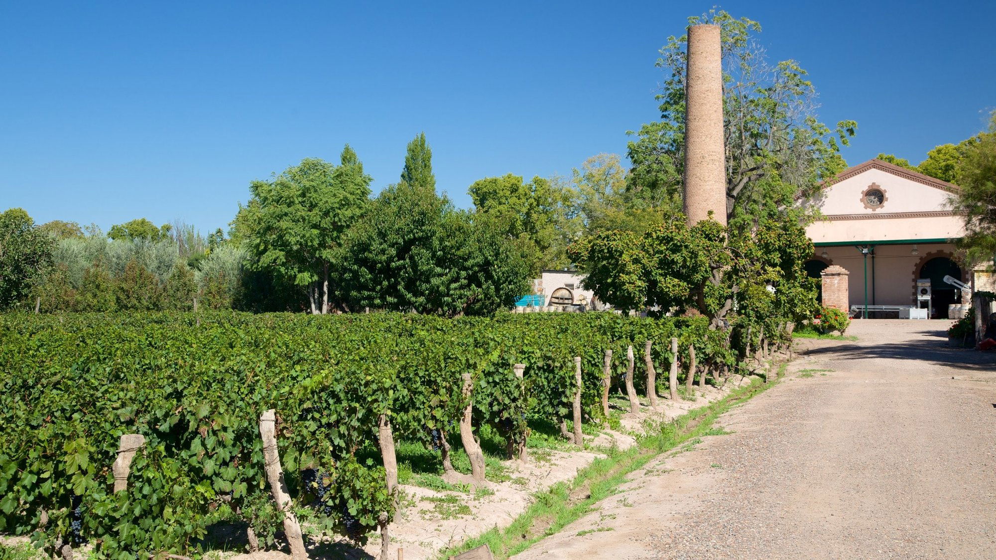 Bodega Lagarde winery in Luján de Cuyo, Argentina
