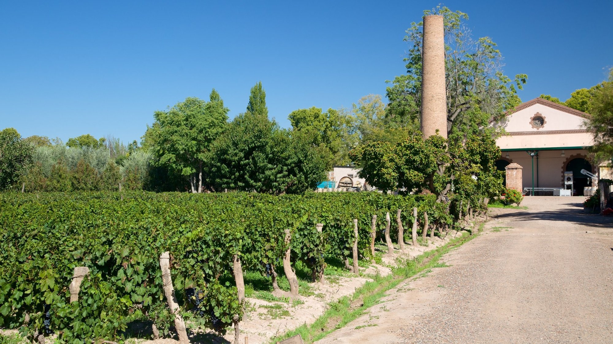 Bodega Lagarde