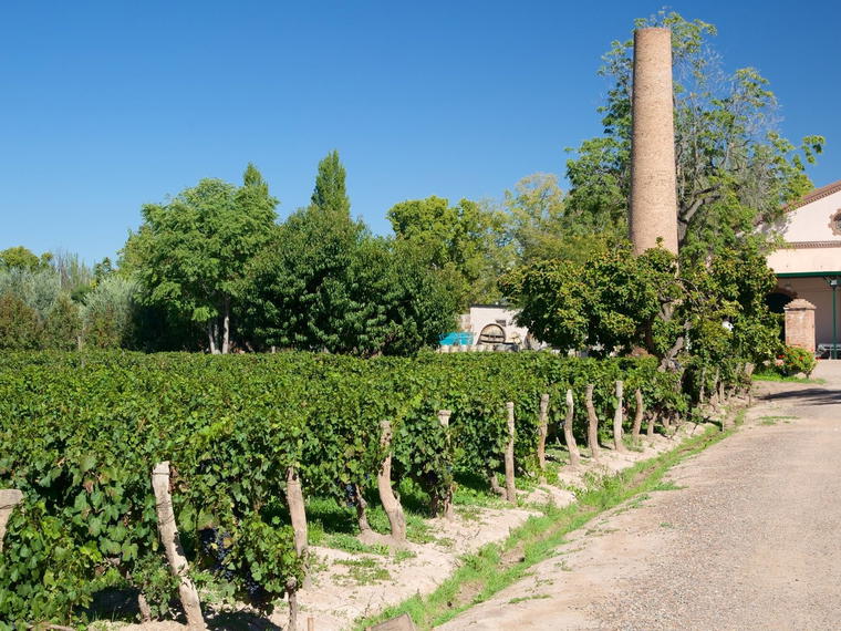 Bodega Lagarde, Luján de Cuyo, Argentina