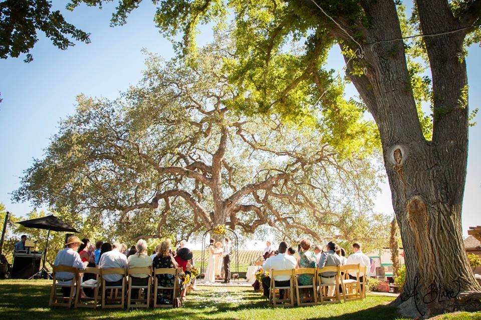 Pomar Junction Vineyard & Winery