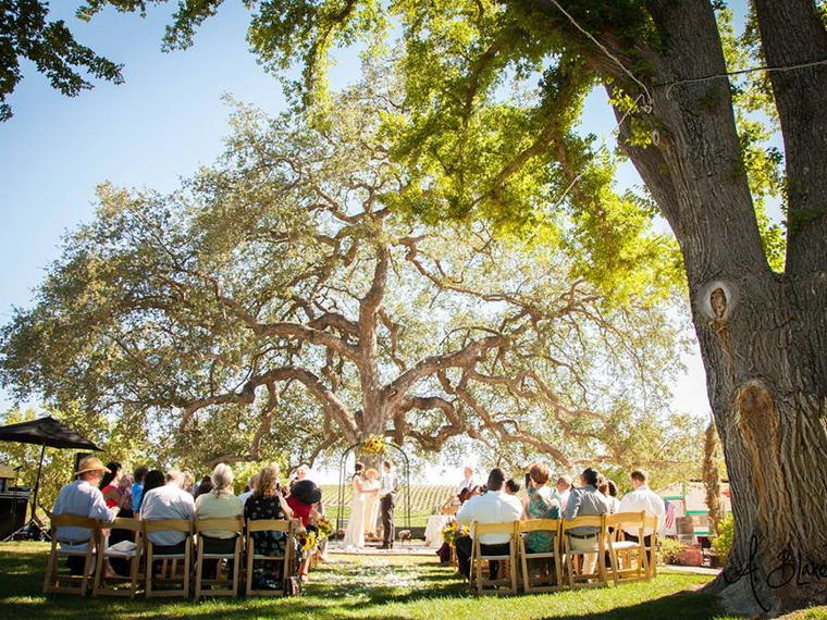 Pomar Junction Vineyard & Winery, Templeton, United States