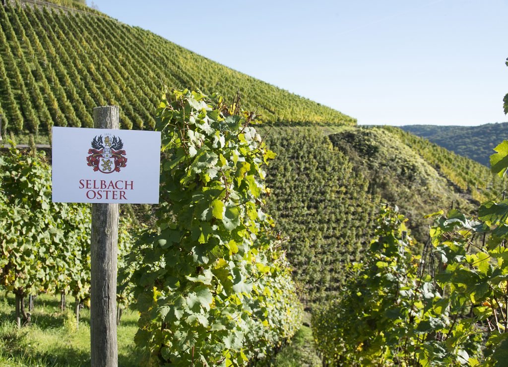 Weingut Selbach-Oster, Winery in Zeltingen-Rachtig