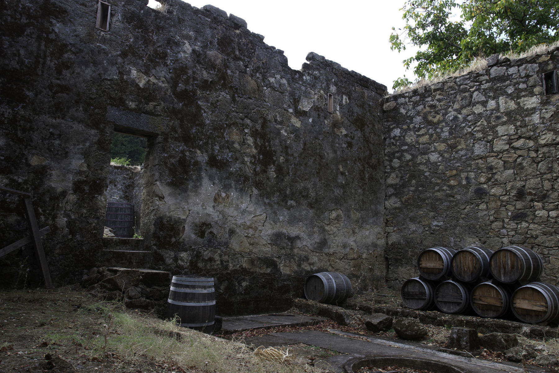 Ghost winery at Dana Estates.