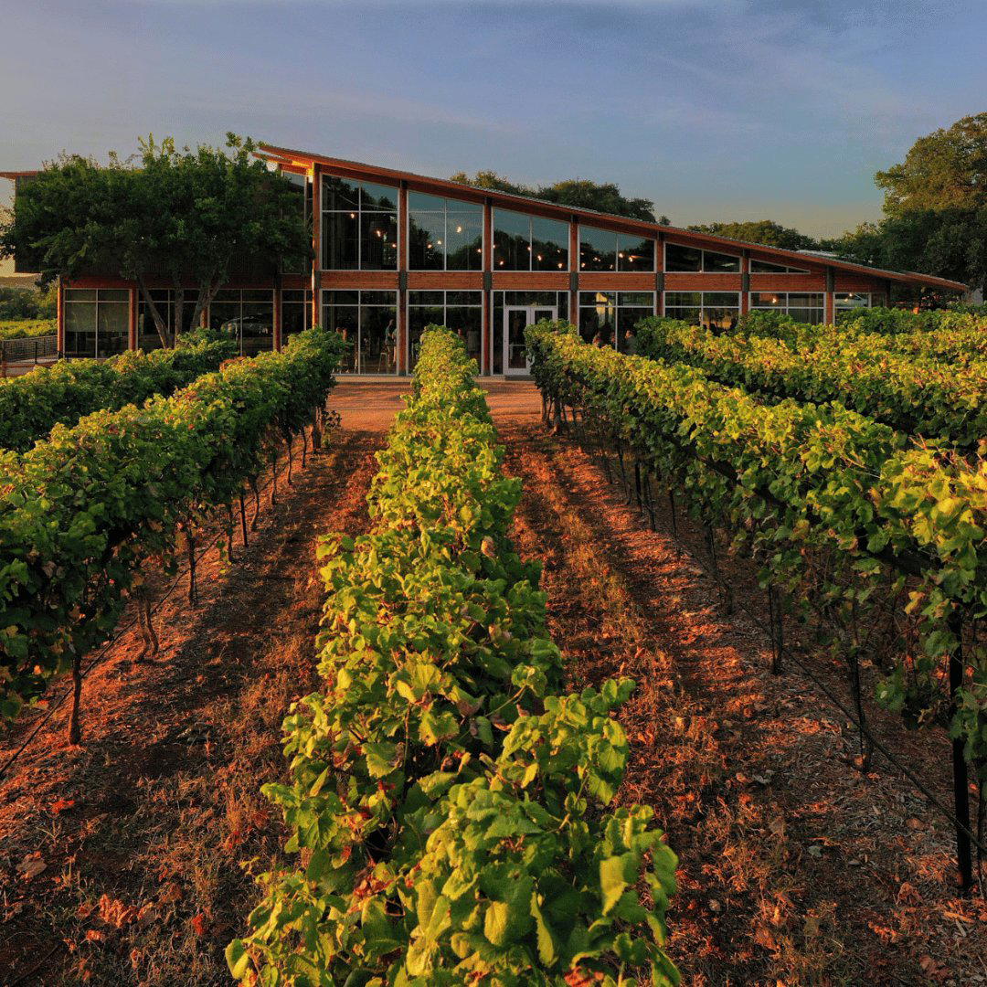 William Chris Vineyards, Hye, United States