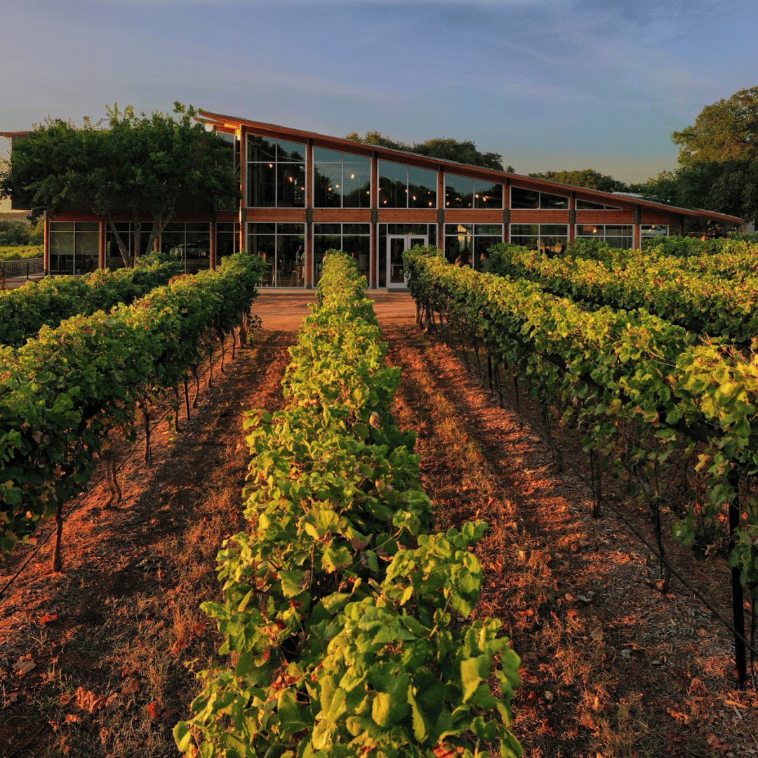 William Chris Vineyards