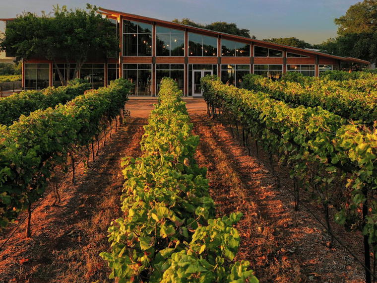 William Chris Vineyards, Hye, United States