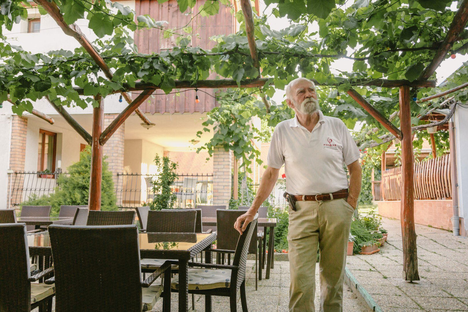 Polgár Winery, Winery in Villány