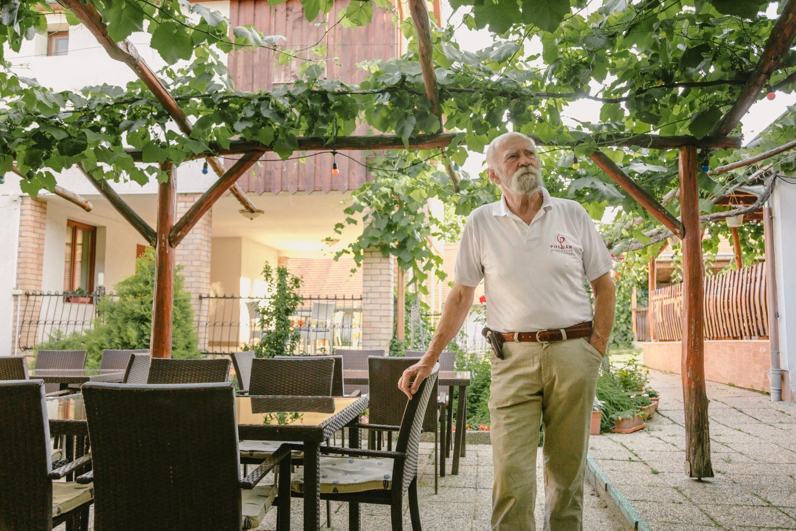 Polgár Winery
