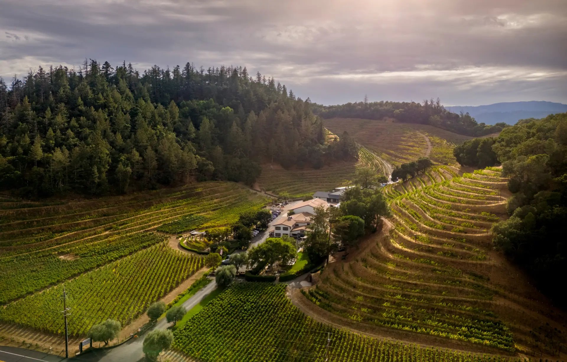 Pine Ridge Vineyards winery in Stags Leap District (Napa), United States