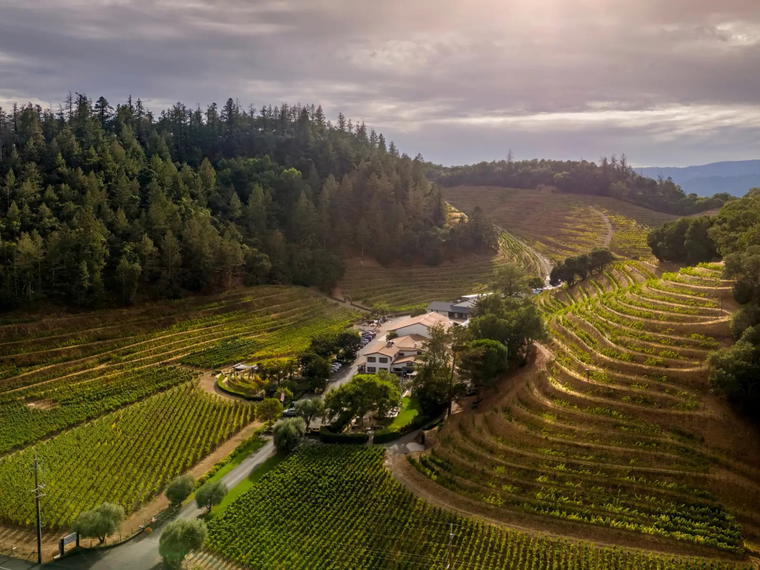 Pine Ridge Vineyards, Napa, United States