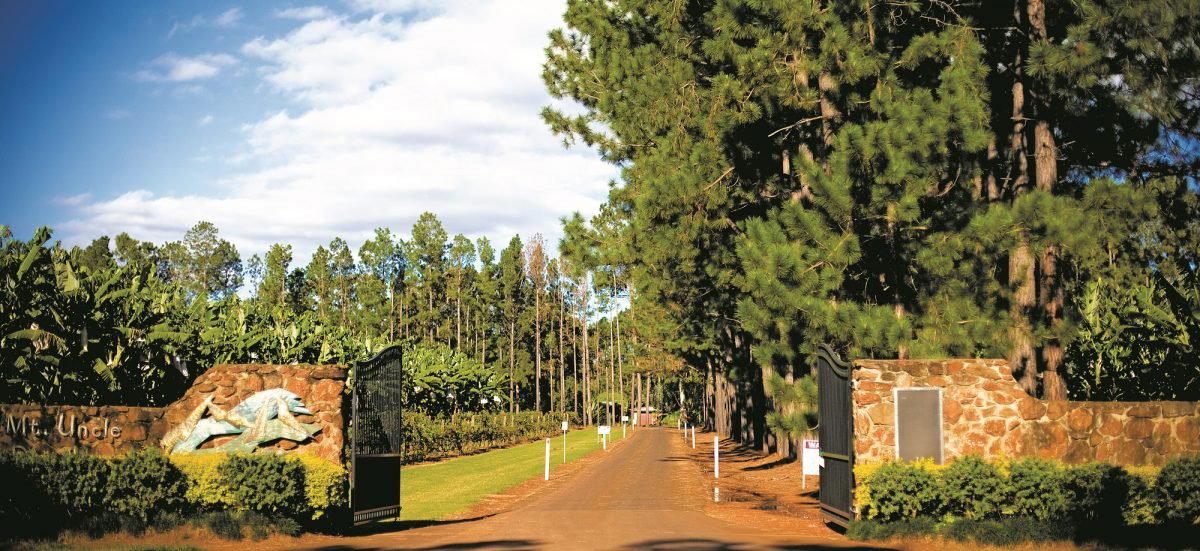Mt Uncle Distillery, Cairns, Australia