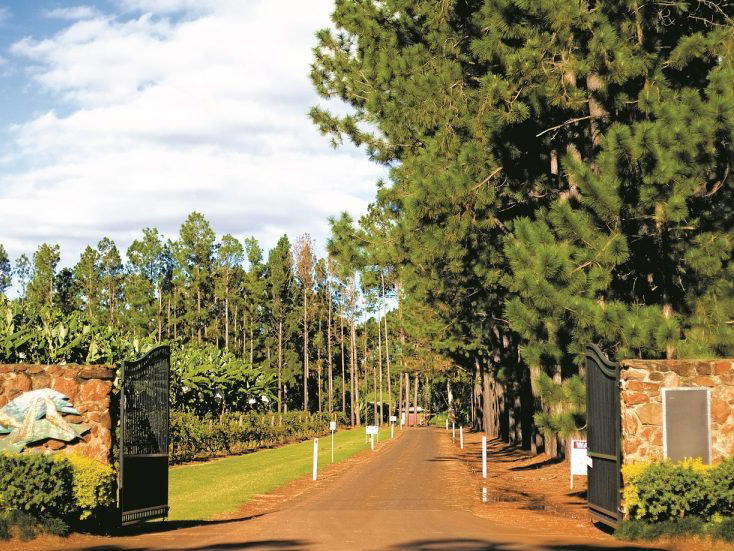 Mt Uncle Distillery, Cairns, Australia