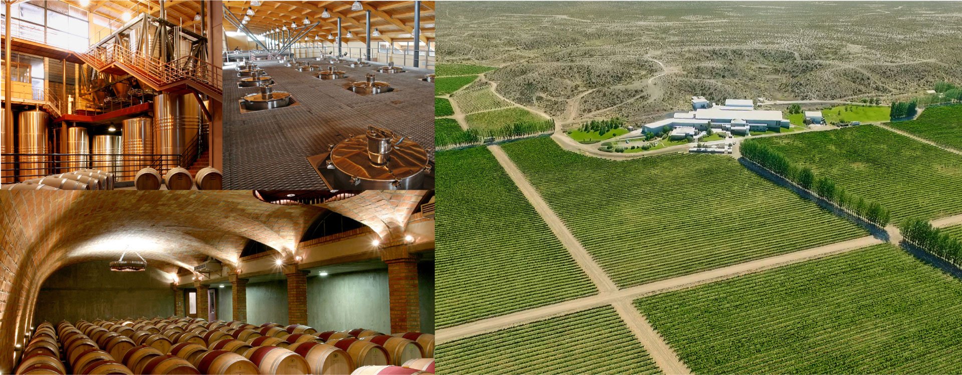 Familia Schroeder winery in San Patricio del Chañar, Argentina